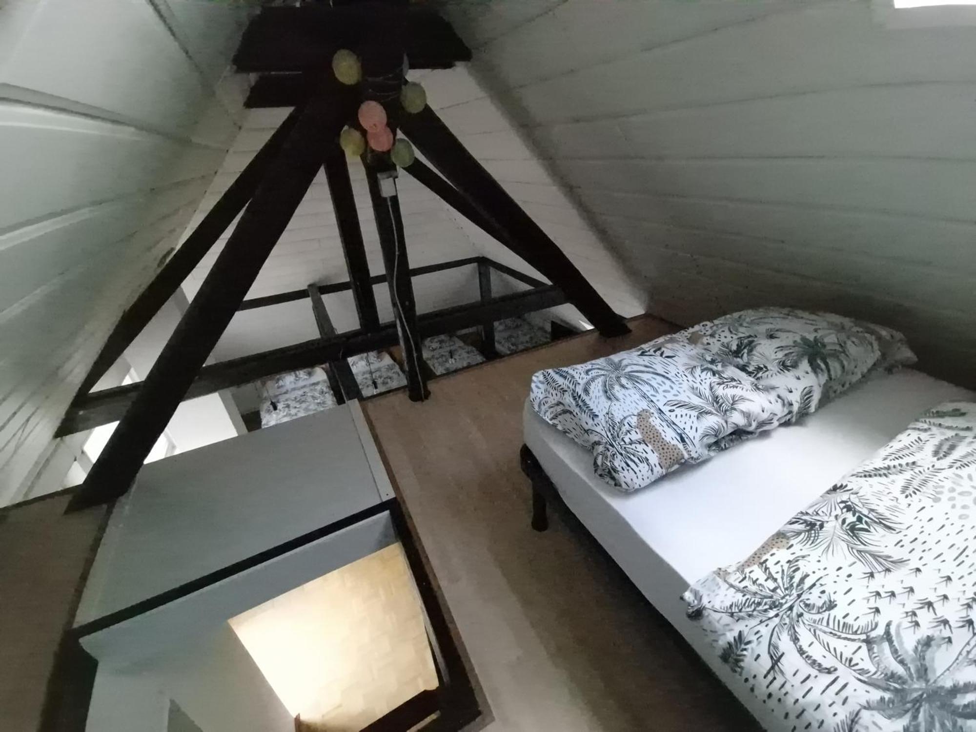 에센 Zuhause Im Gruenen 아파트 외부 사진
